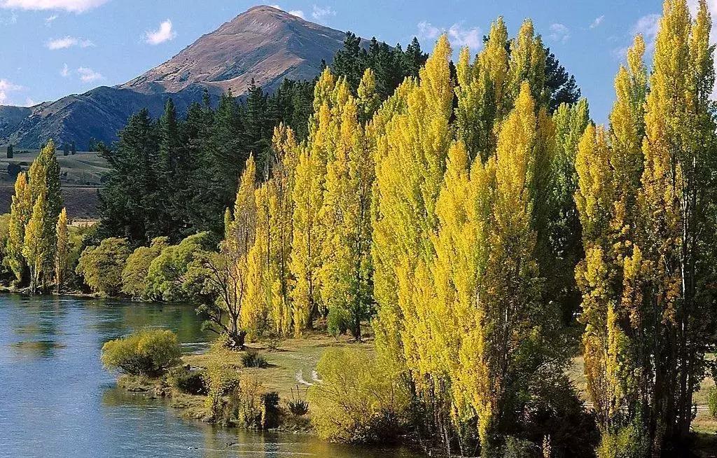 人生必经的4个经历,人生感悟经典好文