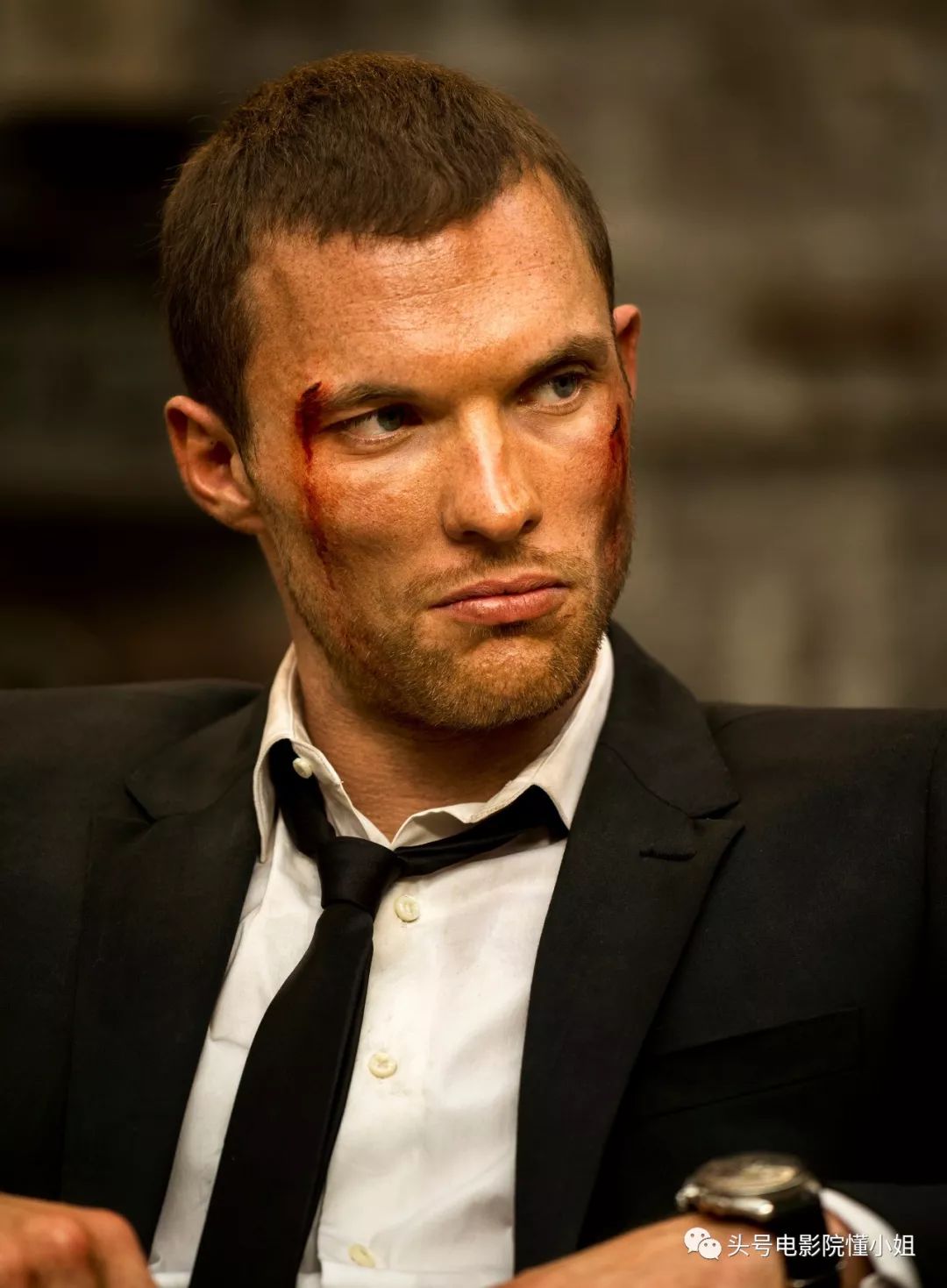 《决战中途岛》飞行员眼熟？杰森斯坦森接班人，《权游》龙妈情人