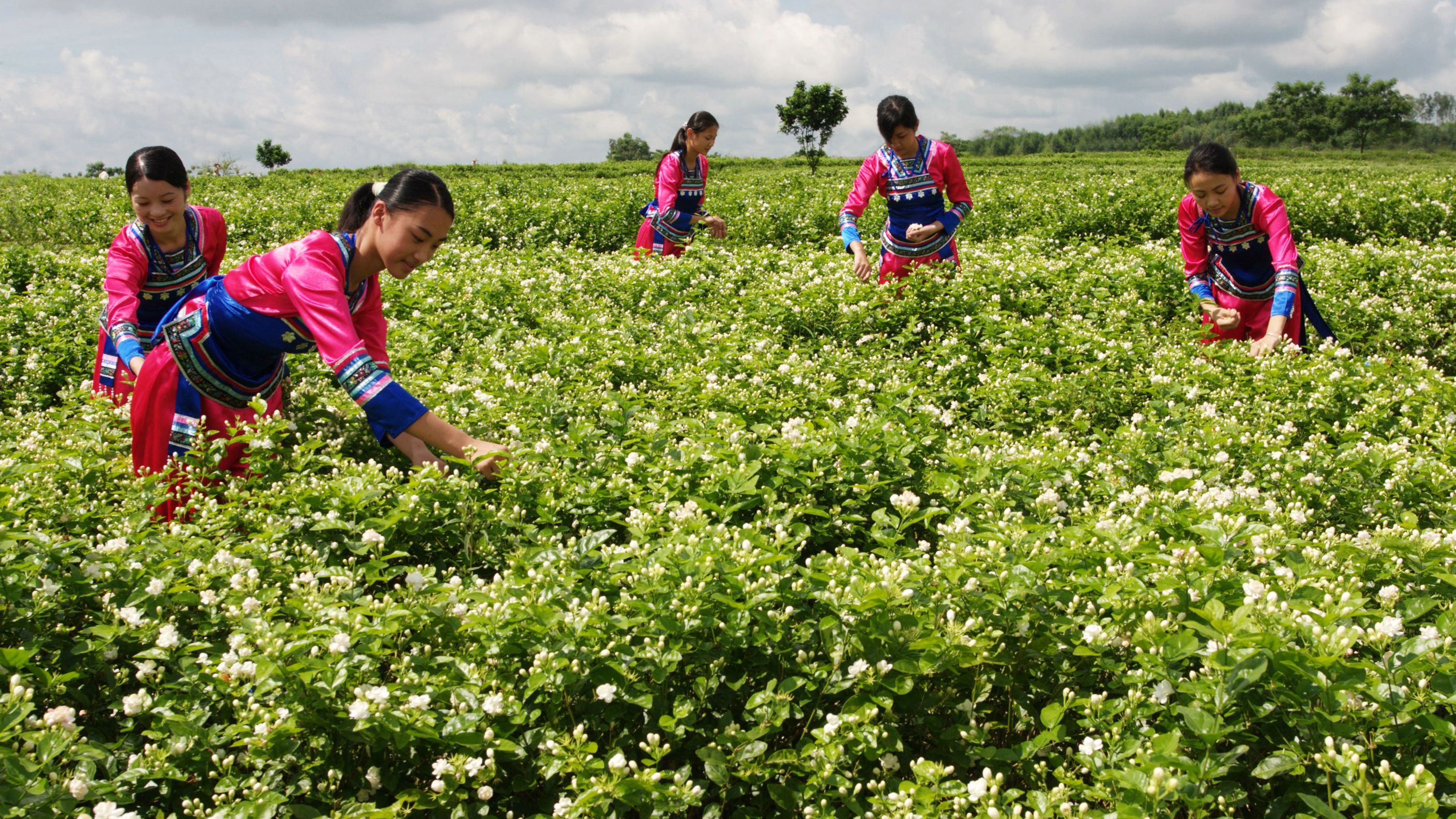 广西风景如画的小城市,广西最迷人的小镇