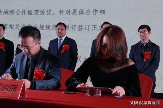 河南县域招商引资,河南招商引资项目