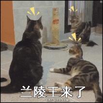 任天堂游戏机买后还要花钱吗,任天堂游戏机到底要不要卖呢