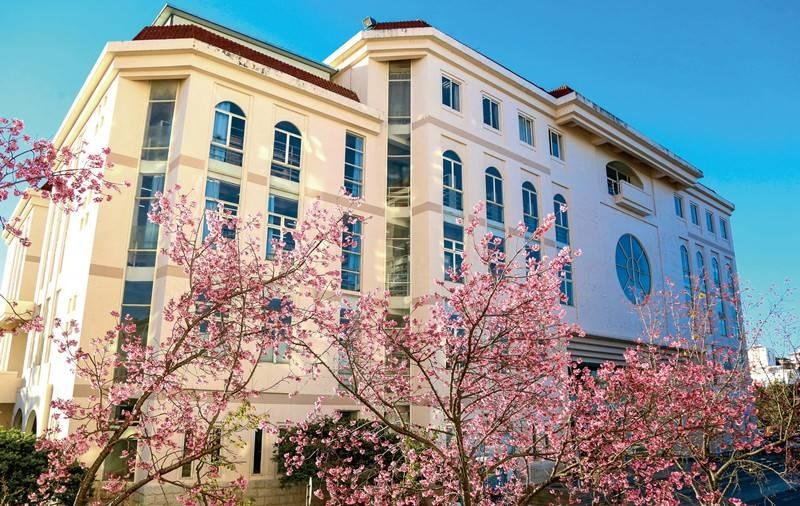 全国排名前十云南城市学院,云南最好大学昆明学院排名