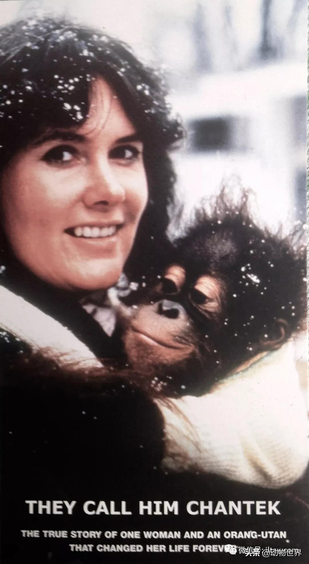 世界各国的著名动物,美国最著名的动物