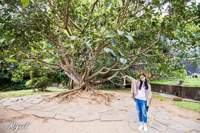 腾冲旅游攻略气温,腾冲深度旅游