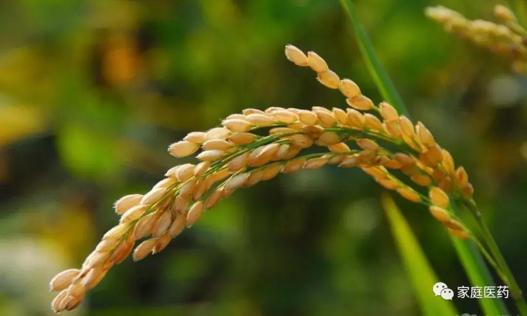 免疫力下降引起皮肤过敏吃什么药,眼睛周围皮肤过敏红肿痒用什么药