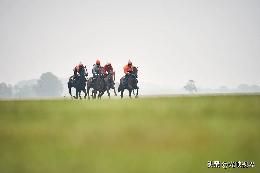 2022年度的ipa摄影大赛获奖作品,2020ippa摄影大赛奖项公布