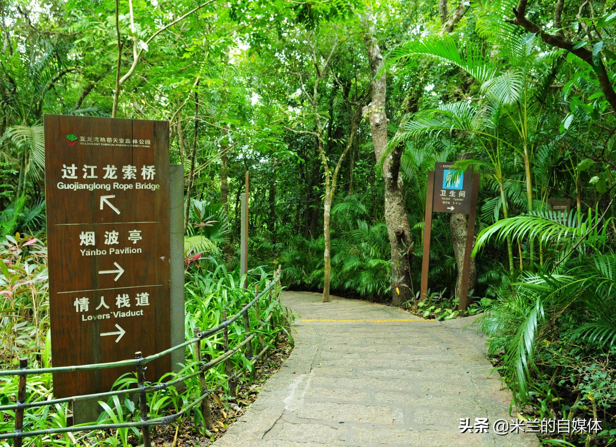 三亚旅游攻略美食推荐,三亚旅游美食攻略自由行