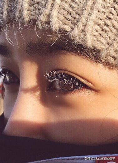 新加坡冻成狗,新加坡狂风暴雨来袭