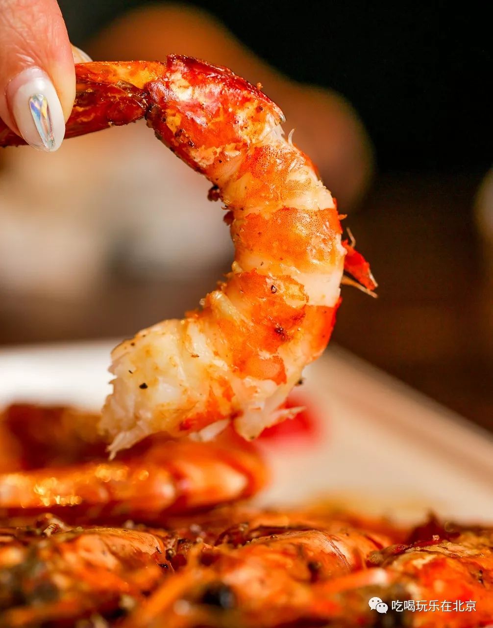 吃海鲜龙虾帝王蟹自助,海胆海鳌虾自助