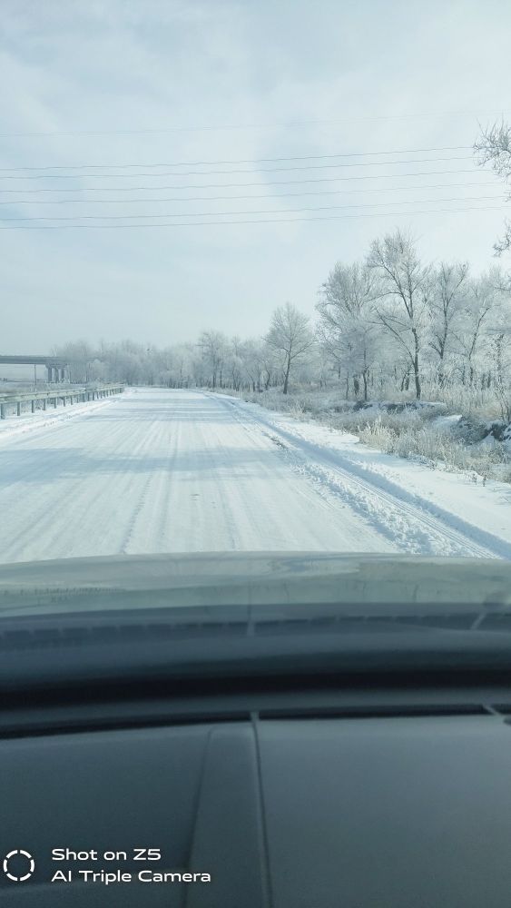 这才是东北该有的味道,这才是东北农村该有的样子