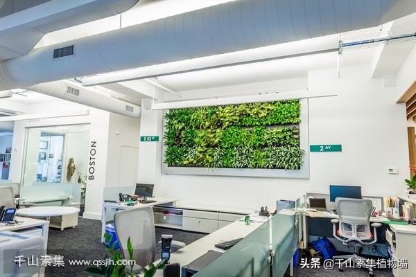 室内墙壁软装搭配效果图,室内墙仿真植物软装搭配