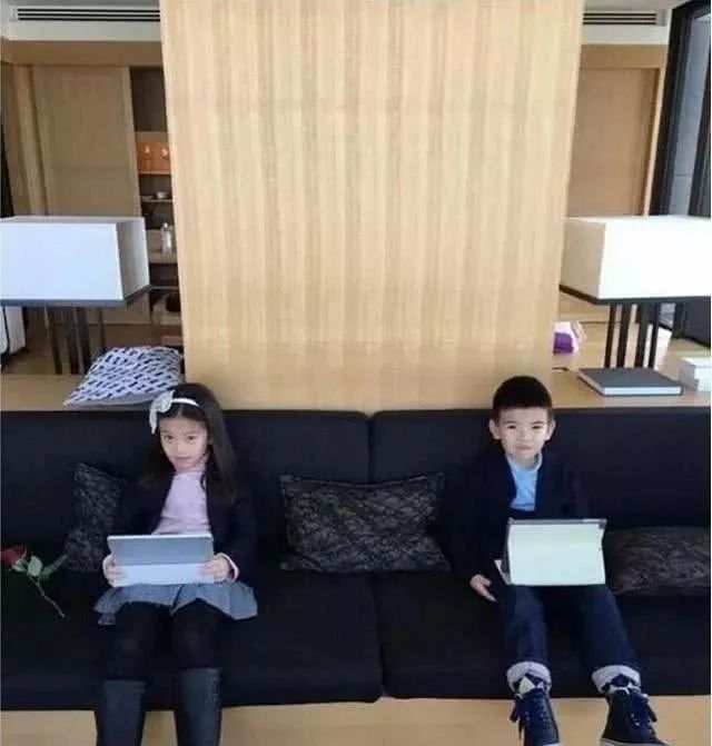 刘涛代言斯帝罗兰,刘涛家电代言