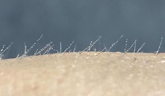 颐莲喷雾和雅漾哪个好用,国货有多疯狂