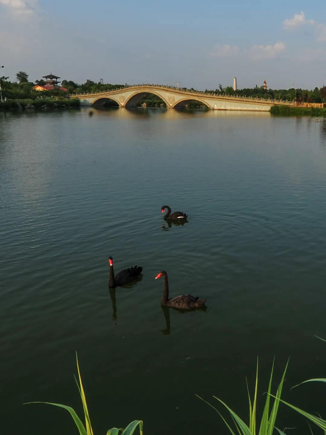 成都哪里的绿道最好,成都绿道最好的地方