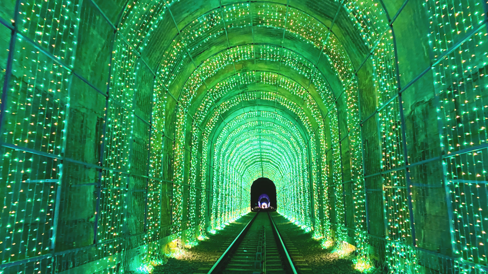 哇，人参随便挖！韩国还能这么玩