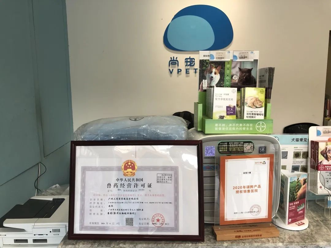 欢迎同行入内，这是一家为宠物店而开的宠物