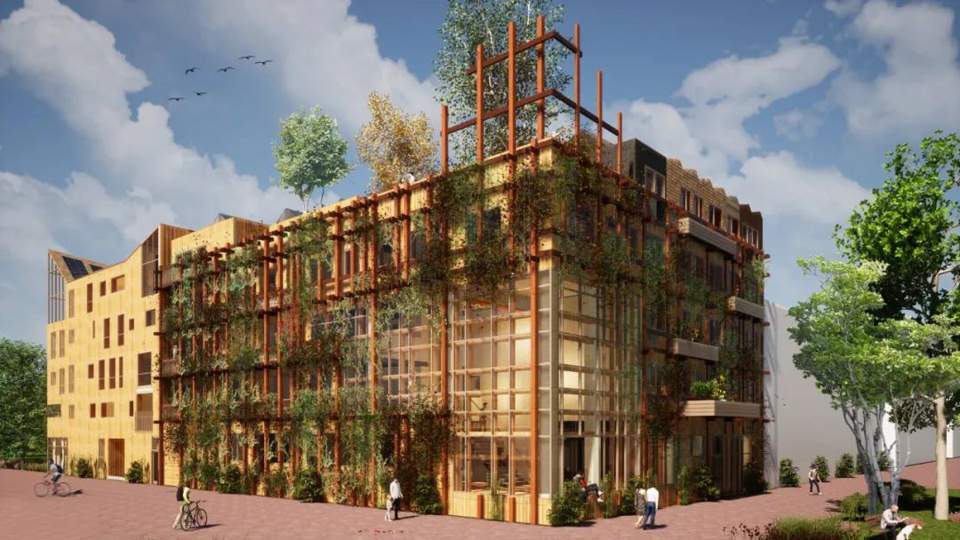 荷兰住房需要自己购买吗,在荷兰买房的真实感受