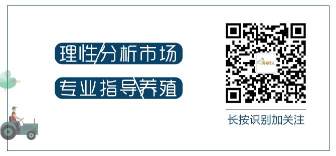 甲鱼苗3-5克如何养殖,仿野生甲鱼养殖方法技术