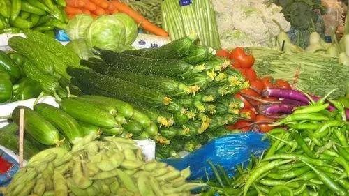 什么菜是有毒的但老百姓都在吃,浙江人警惕这3种菜有毒千万别吃