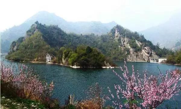 新手入门快速了解文玩,收藏知识大全