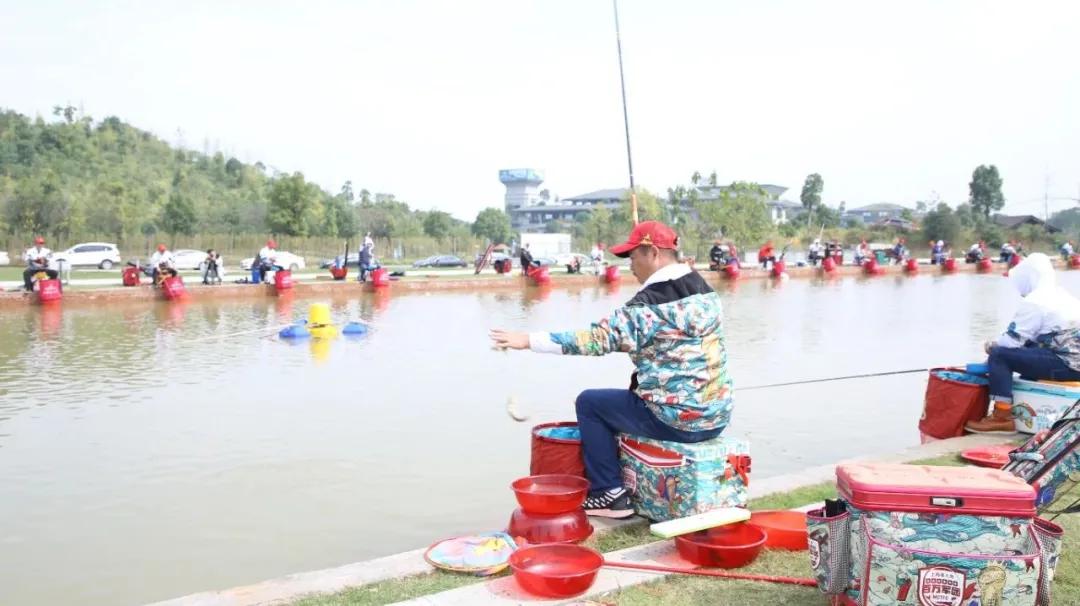 美人鱼战队王者之战夺冠,2019上海美人鱼冠军杯