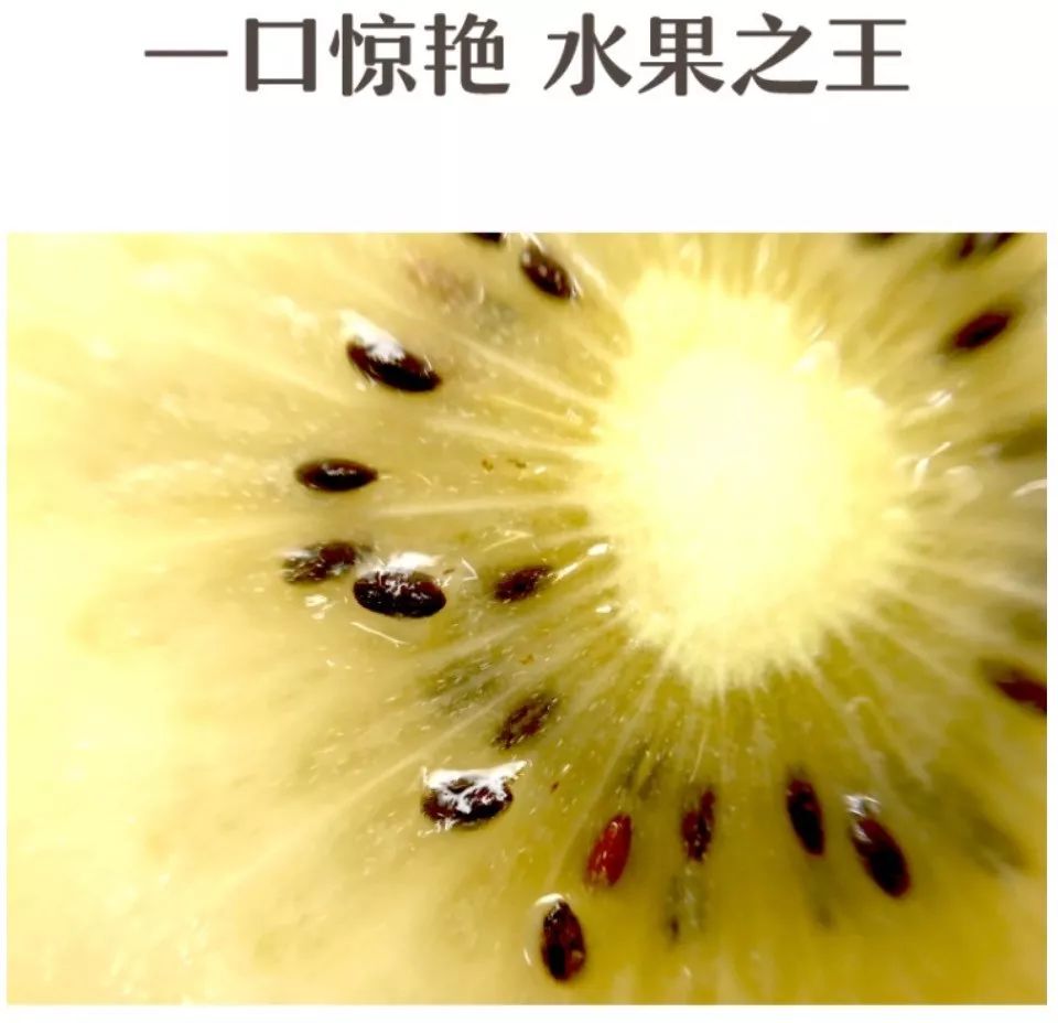 长春生鲜冷链配送,长春蔬果生鲜配送新鲜直达