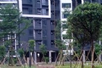 100个景观设计图,景观栈道工程设计