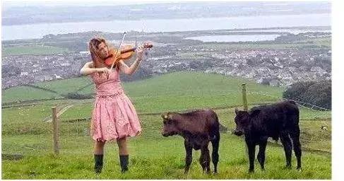 日本“国宝级精液”差点进入中国，吓坏了日本人