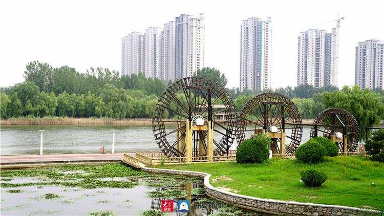 减河湿地公园最新视频,减河清淤开始了吗