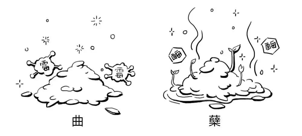 一分钟读懂酒的历史文化,一分钟让你了解酿酒全过程