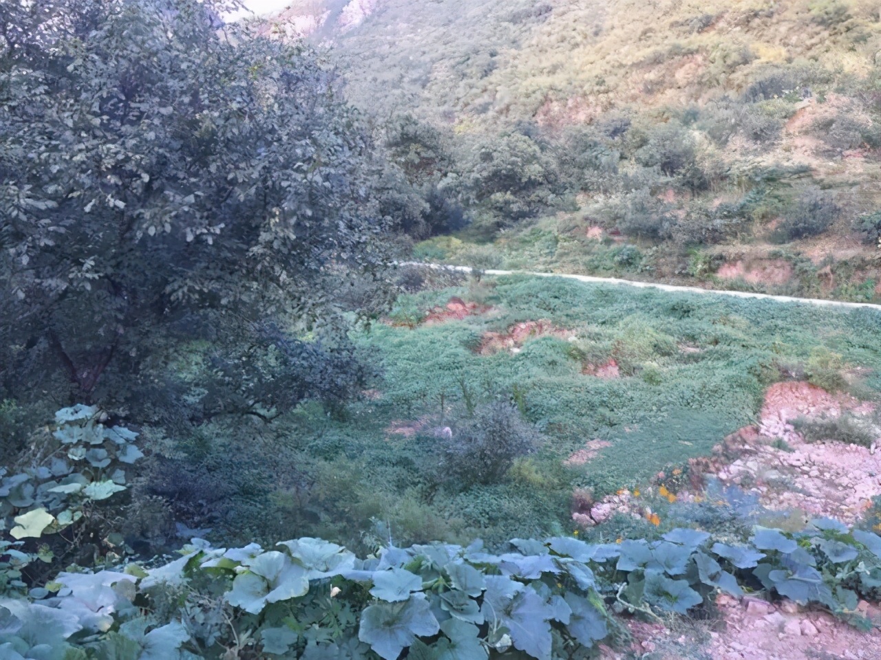 涉县朝阳洞旅游景区门票,朝阳洞涉县