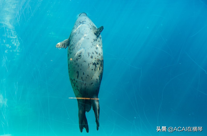 吃喝玩乐in珠海,珠海吃喝玩乐一体的地方