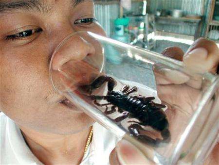 鸿茅药酒被央视谁曝光,内蒙鸿茅药酒事件怎么样了