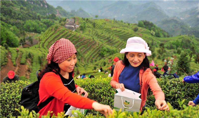 休闲农业旅游经营策略与产品销售,新型农业营销策略