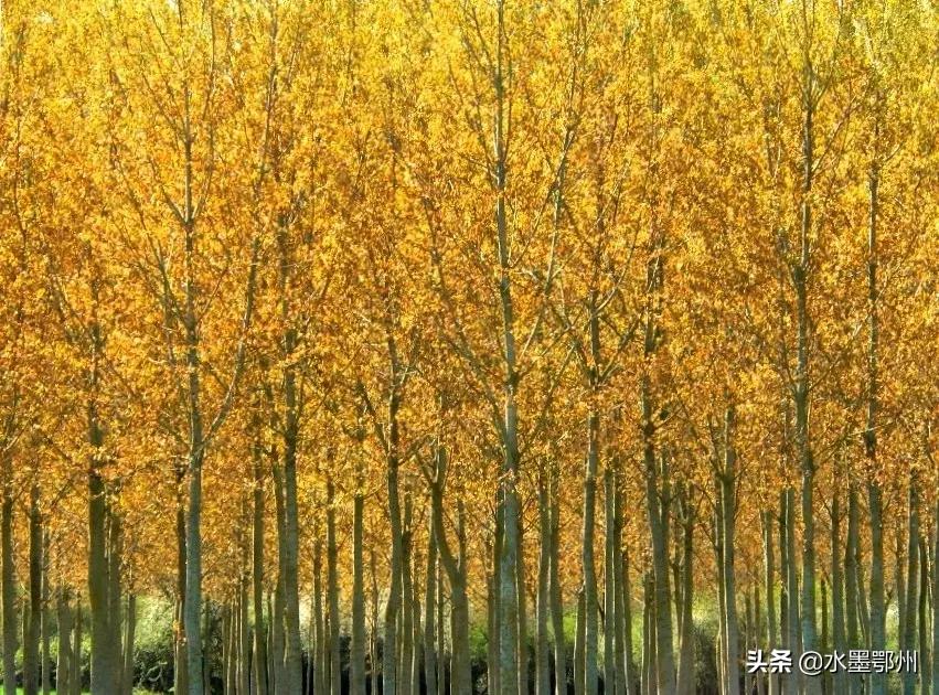 诗经豳风七月深度解析,诗经的豳风七月是一首什么诗