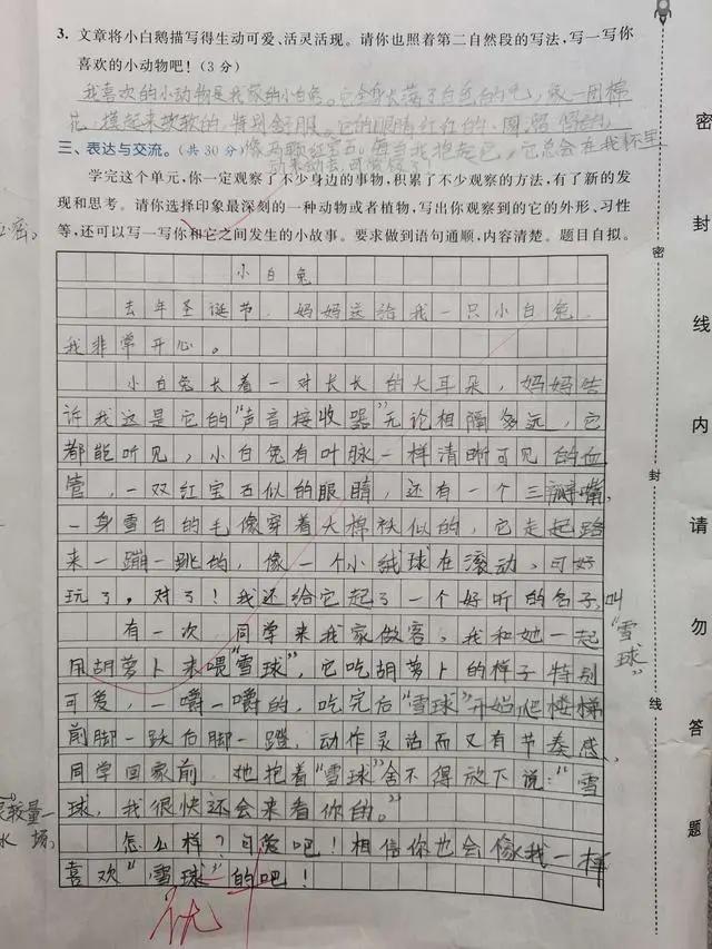 三年级语文期末必考的作文范文,三年级五单元试卷作文