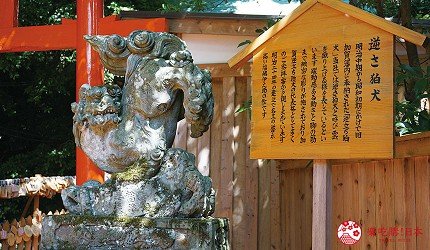 青浦区金泽镇寺庙,金泽屋山神社