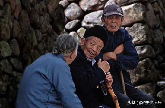 猪年好年景,2019猪年年景