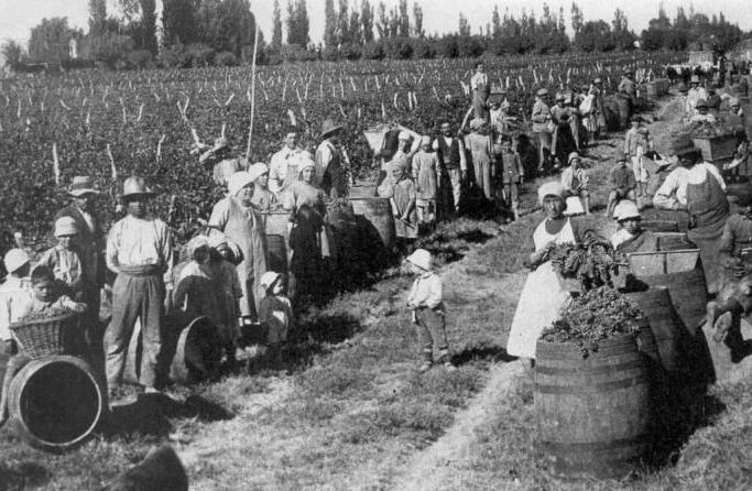 同为南美洲国家，为何阿根廷几乎全是白人，巴西却有一大半是黑人