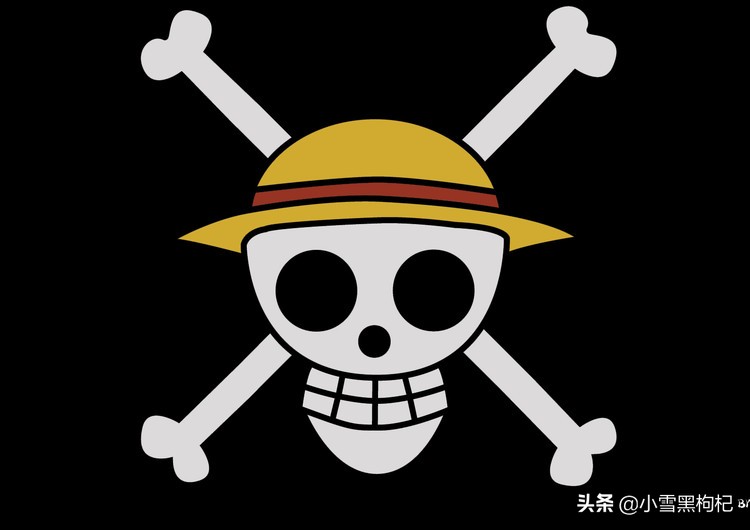 航海王日本漫画,航海王尾田荣一郎签名