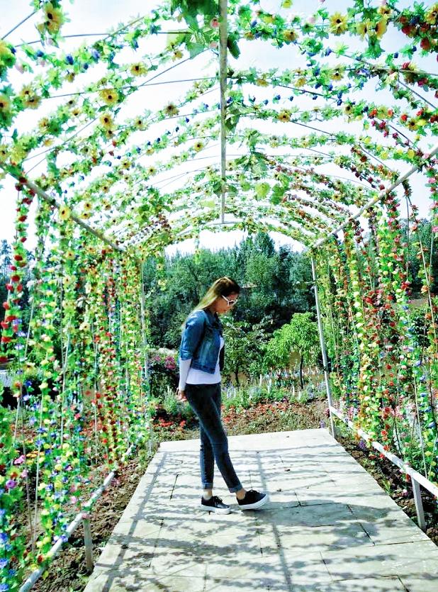 雄飞集团榜样|周俊英：勤勤恳恳、认真负责