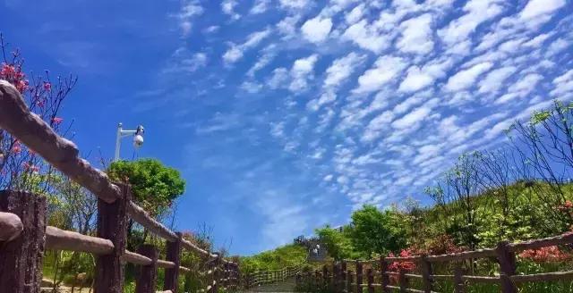 五一小众旅游推荐长沙周边,端午旅游推荐2-3天游长沙