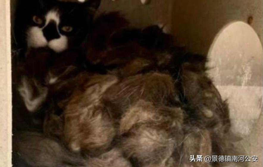 “割声带、截肢、电击，当爱变成我的噩梦”