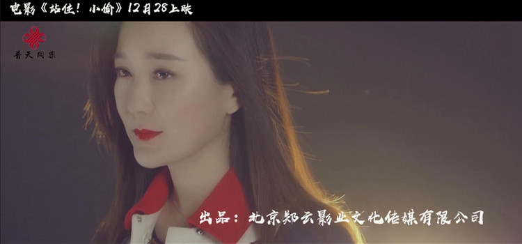 电影站住小偷高清免费观看,《站住小偷》电影