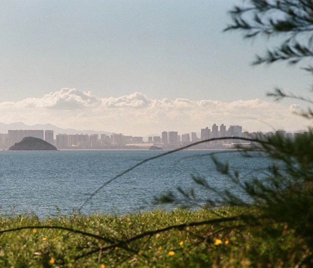 blackpink同款胶卷相机,blackpink同款胶片机