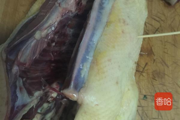 烤鸭做法不用烤箱,不用烤箱烤鸭做法全过程