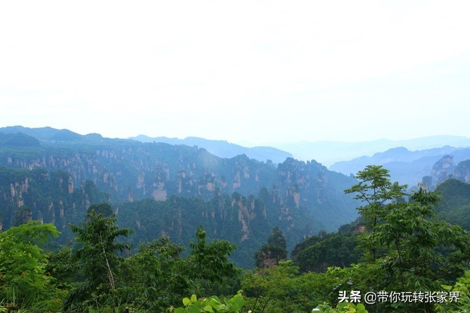 到张家界天门山自助游价格多少钱,武汉到张家界天门山三日游