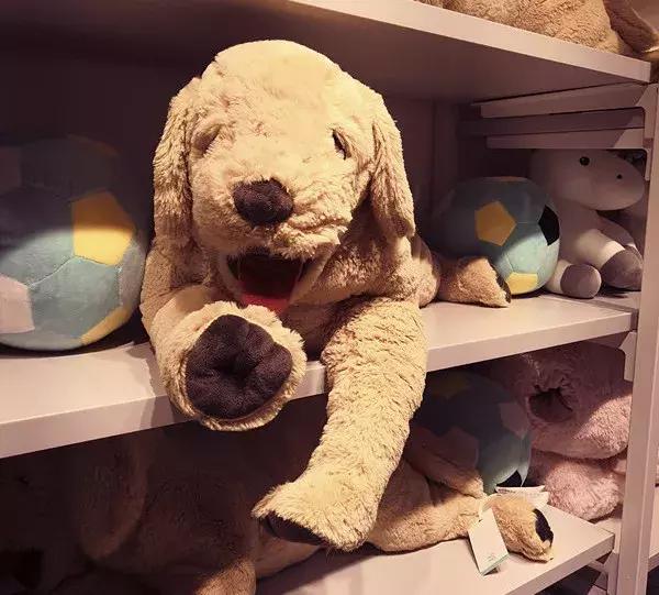 别去名创优品了，这家十元店更好逛