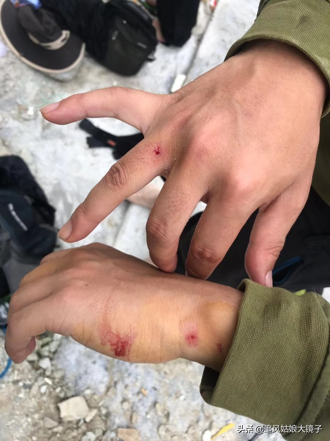 穿越原始的森林,穿越原始森林巨大蜈蚣