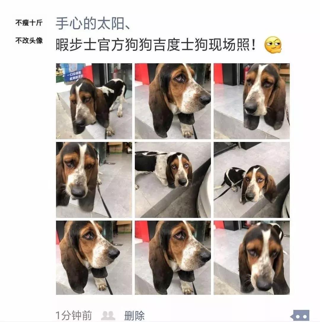 承包你一整个夏天的鞋,承包一整年的衣服